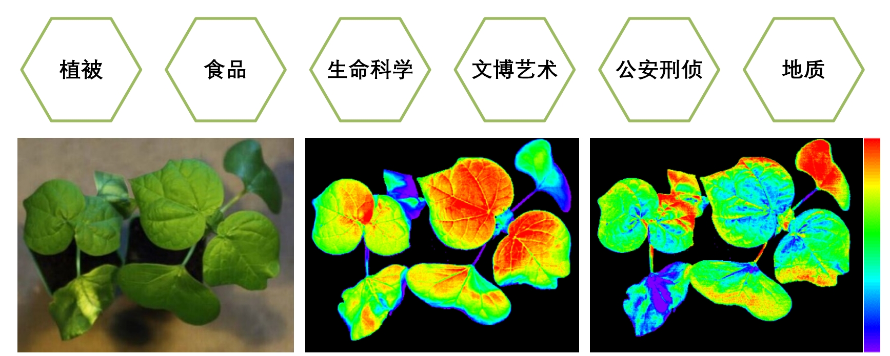 ��ҳ| ����֮��hy590���¹ٷ���վ