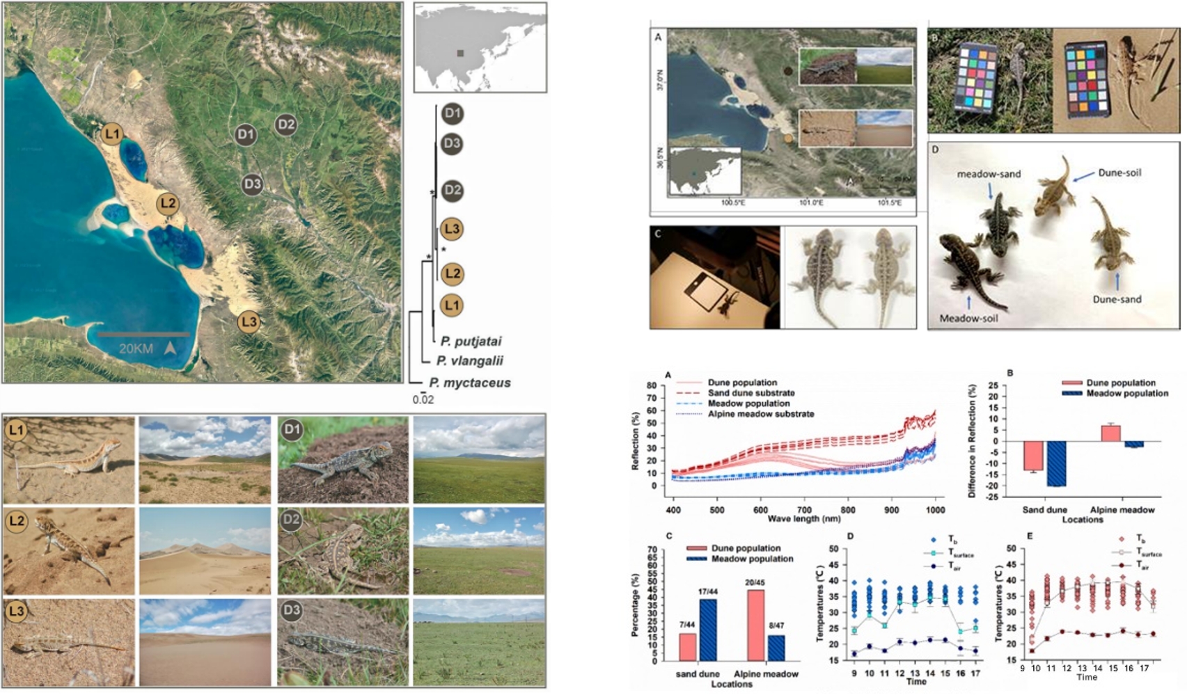 ��ҳ| ����֮��hy590���¹ٷ���վ