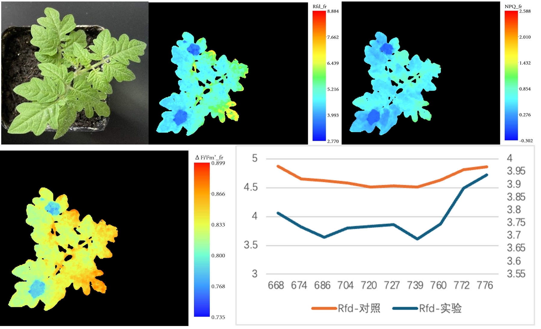 ��ҳ| ����֮��hy590���¹ٷ���վ