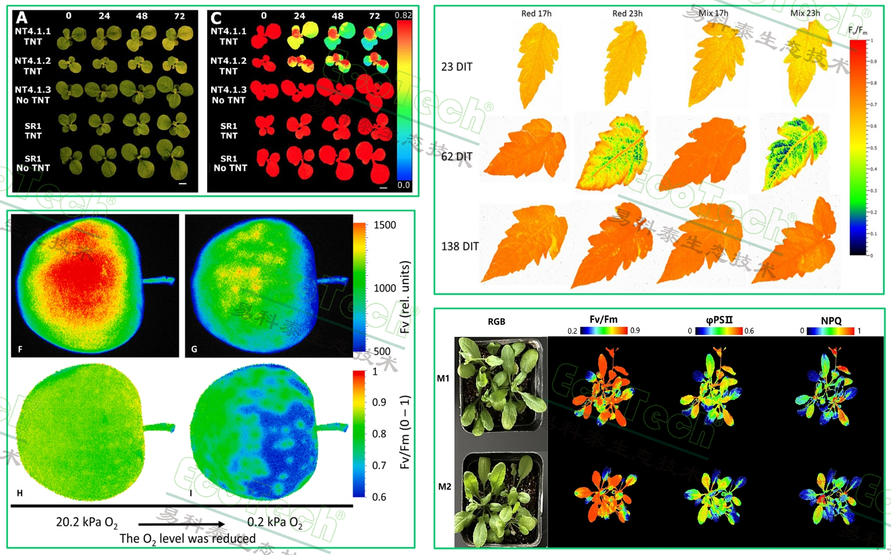 ��ҳ| ����֮��hy590���¹ٷ���վ