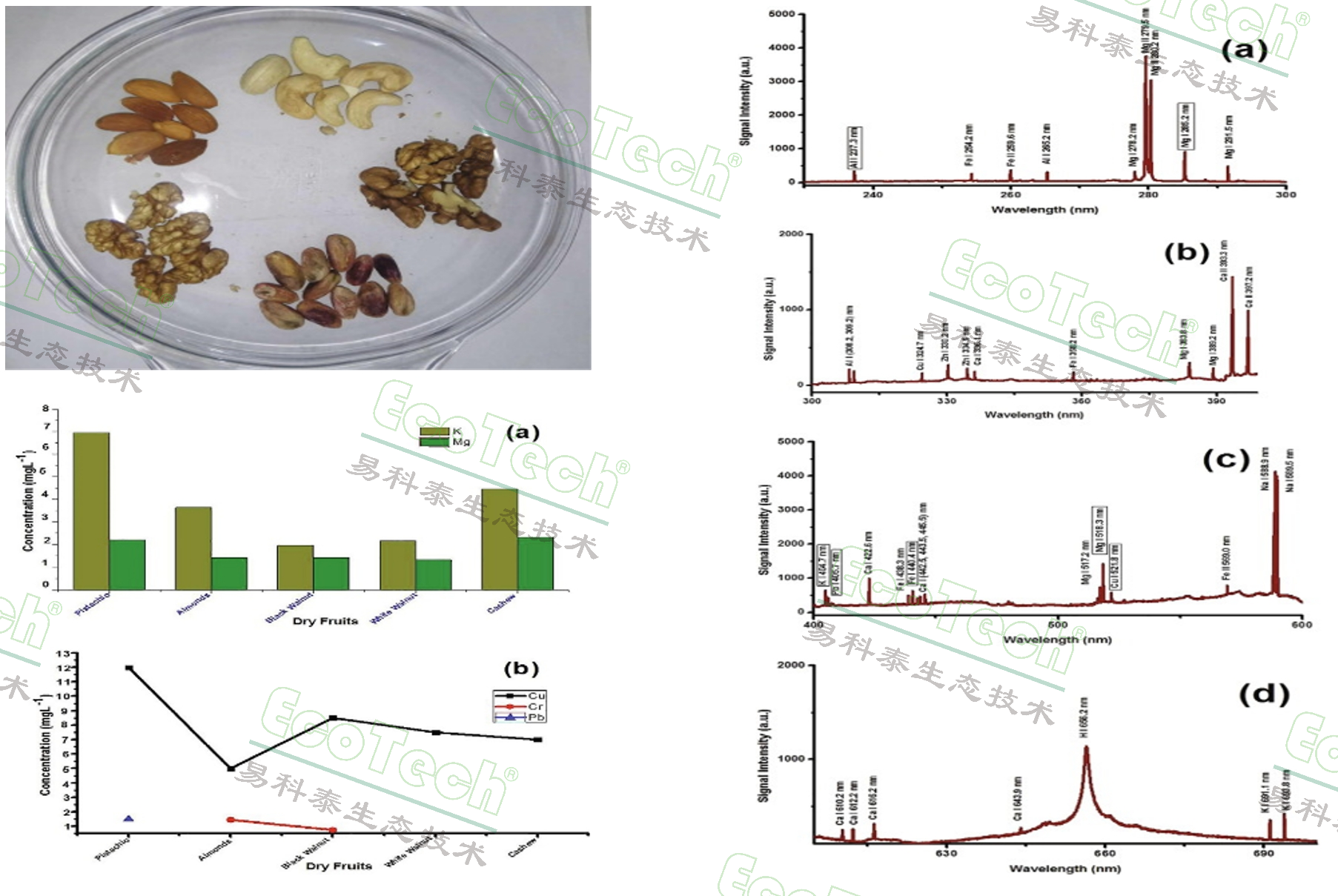 ��ҳ| ����֮��hy590���¹ٷ���վ