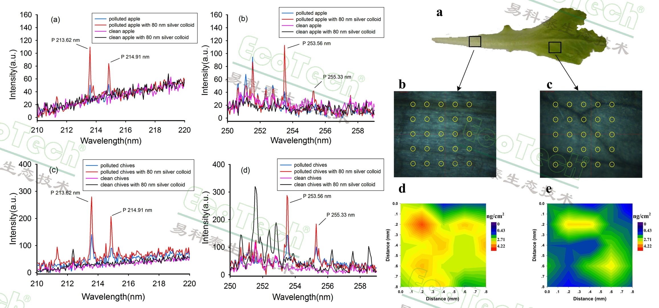 ��ҳ| ����֮��hy590���¹ٷ���վ