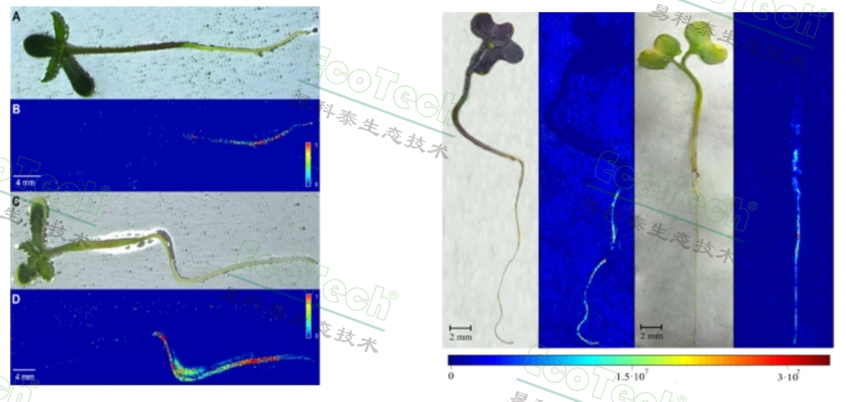 ��ҳ| ����֮��hy590���¹ٷ���վ