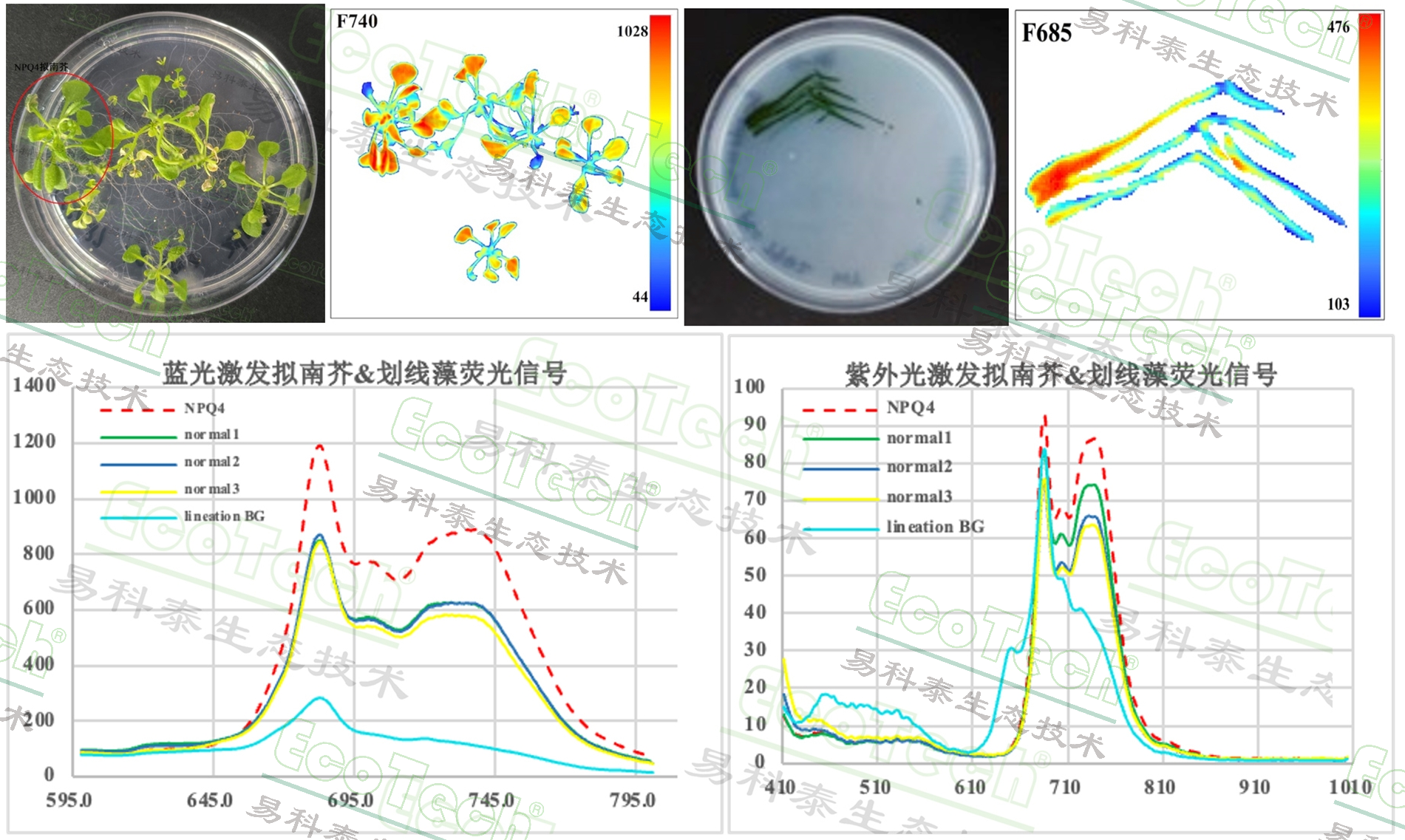 ��ҳ| ����֮��hy590���¹ٷ���վ
