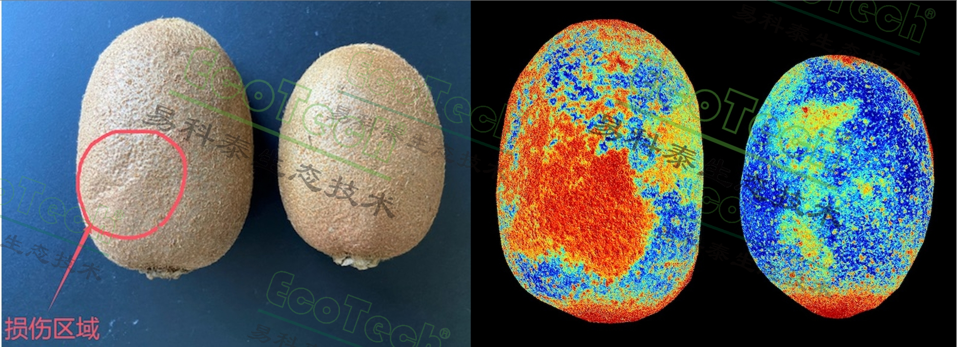 ��ҳ| ����֮��hy590���¹ٷ���վ