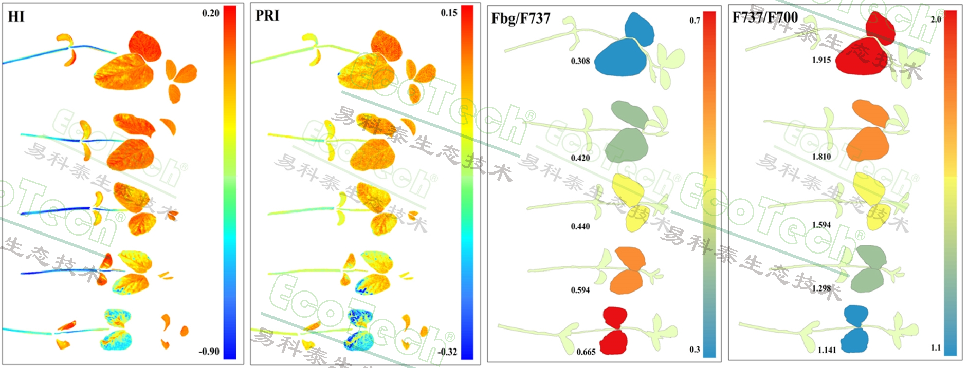 ��ҳ| ����֮��hy590���¹ٷ���վ
