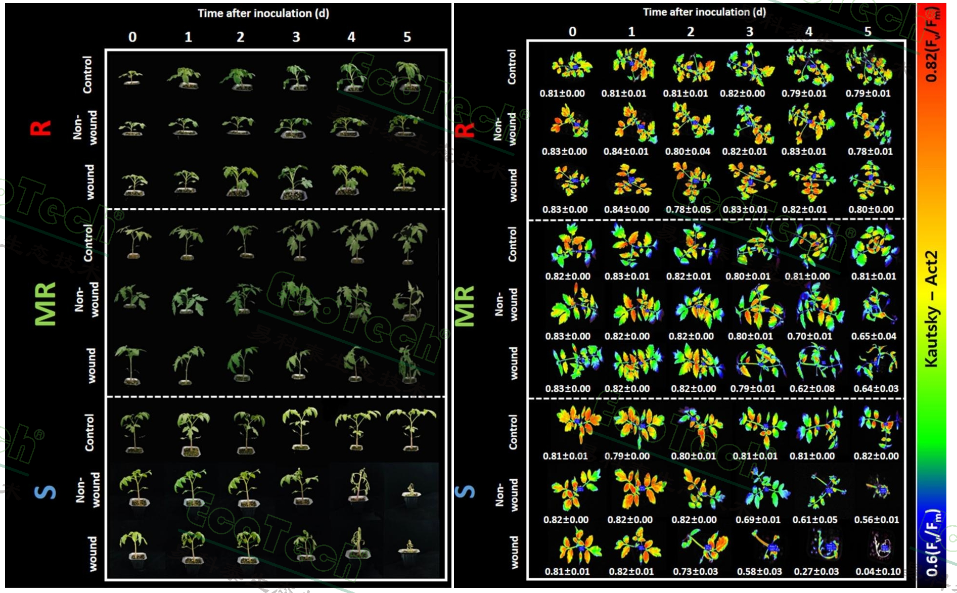 ��ҳ| ����֮��hy590���¹ٷ���վ