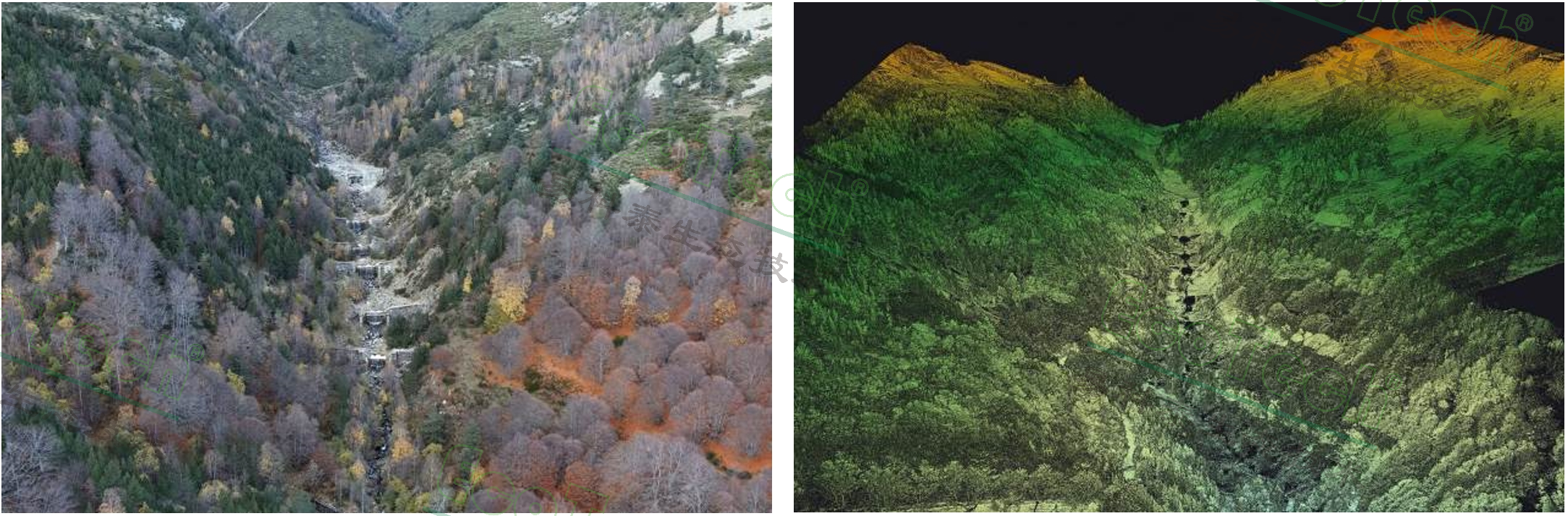 ��ҳ| ����֮��hy590���¹ٷ���վ