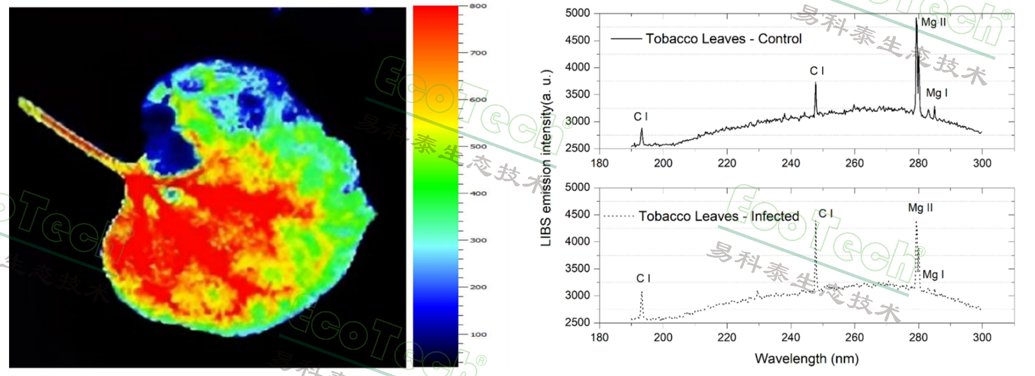 ��ҳ| ����֮��hy590���¹ٷ���վ