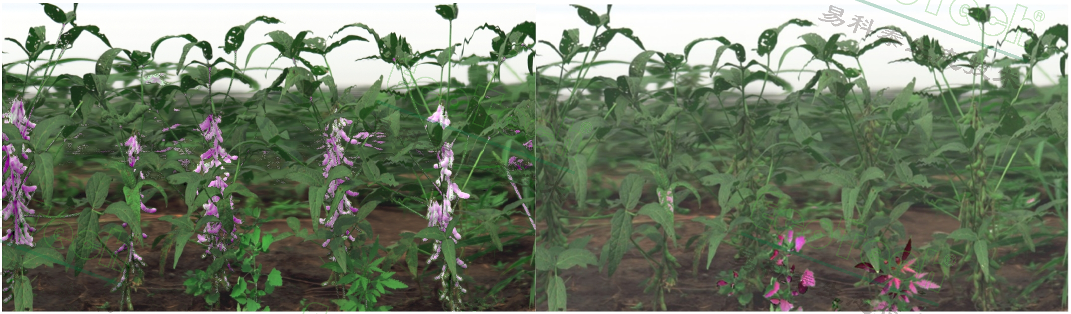 ��ҳ| ����֮��hy590���¹ٷ���վ