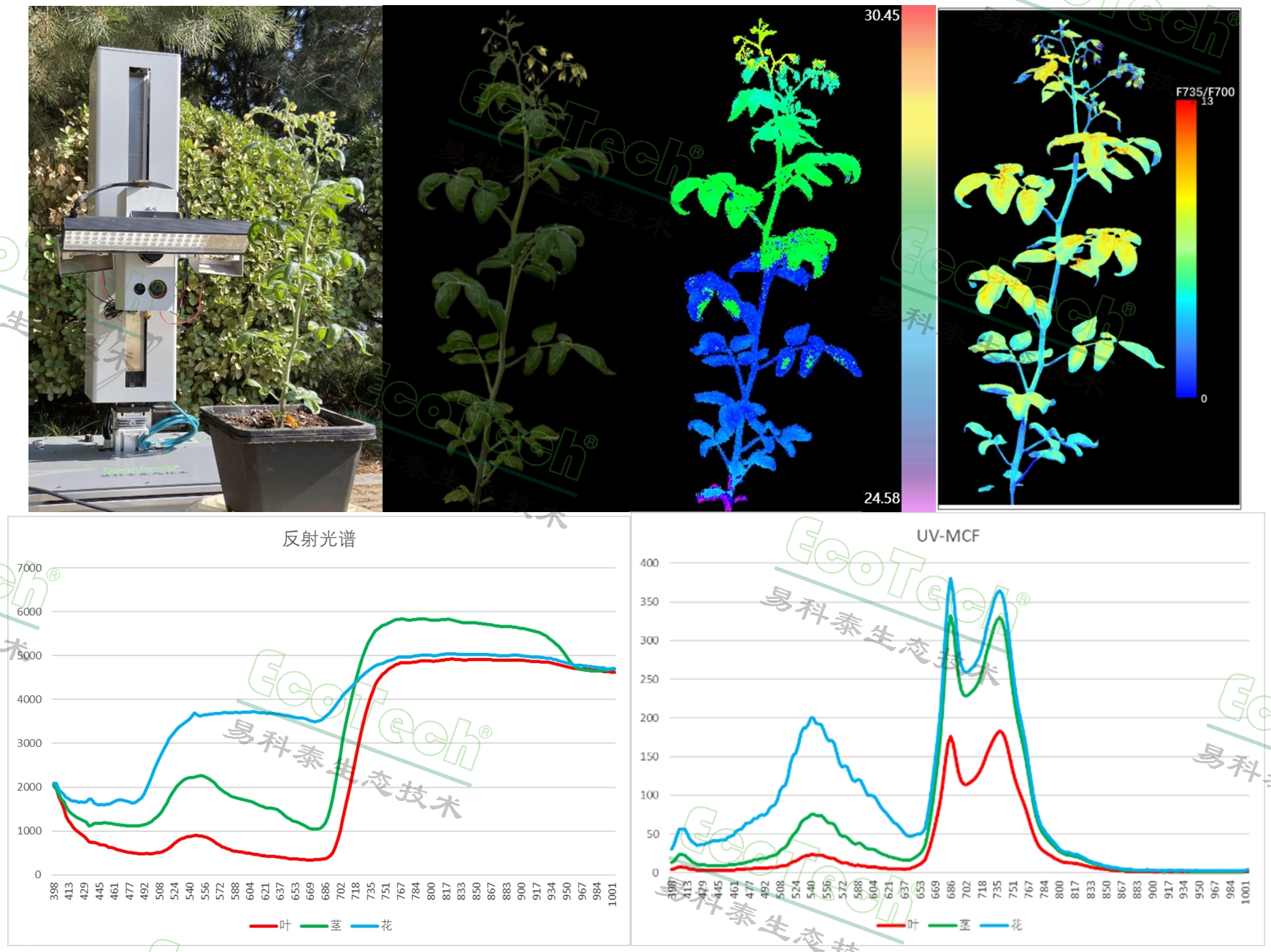 ��ҳ| ����֮��hy590���¹ٷ���վ