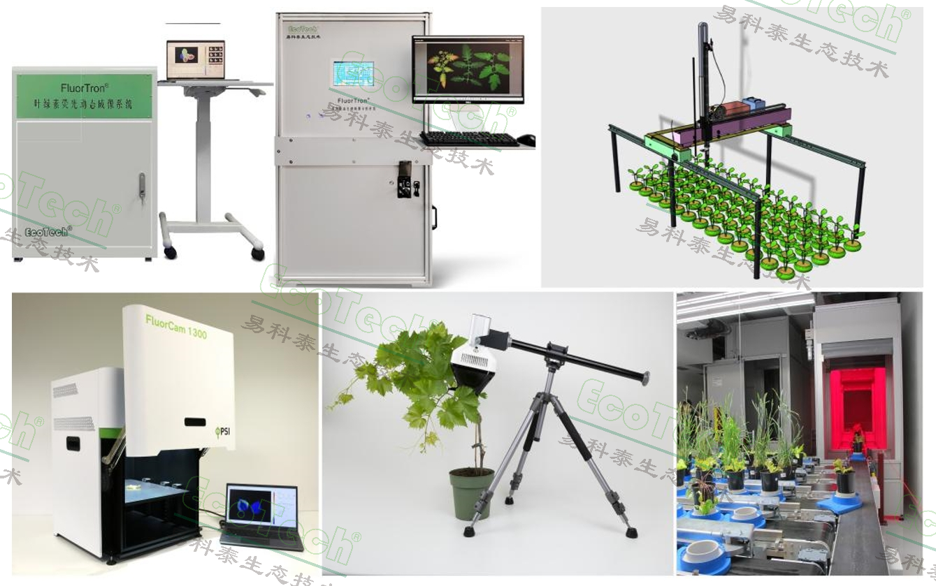 Ê×Ò³| º£ÑóÖ®Éñhy590×îйٷ½ÍøÕ¾