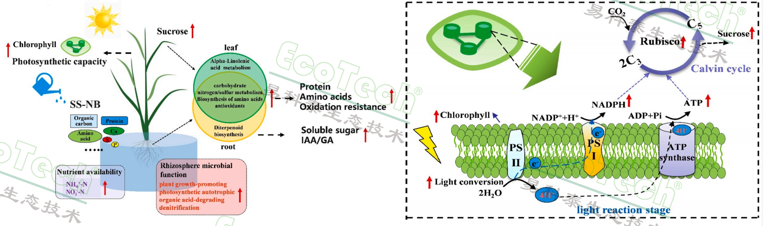 Ê×Ò³| º£ÑóÖ®Éñhy590×îйٷ½ÍøÕ¾