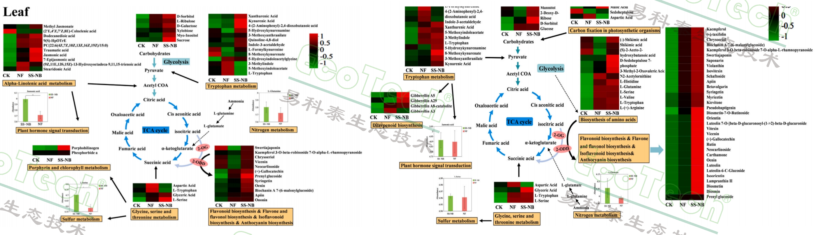Ê×Ò³| º£ÑóÖ®Éñhy590×îйٷ½ÍøÕ¾