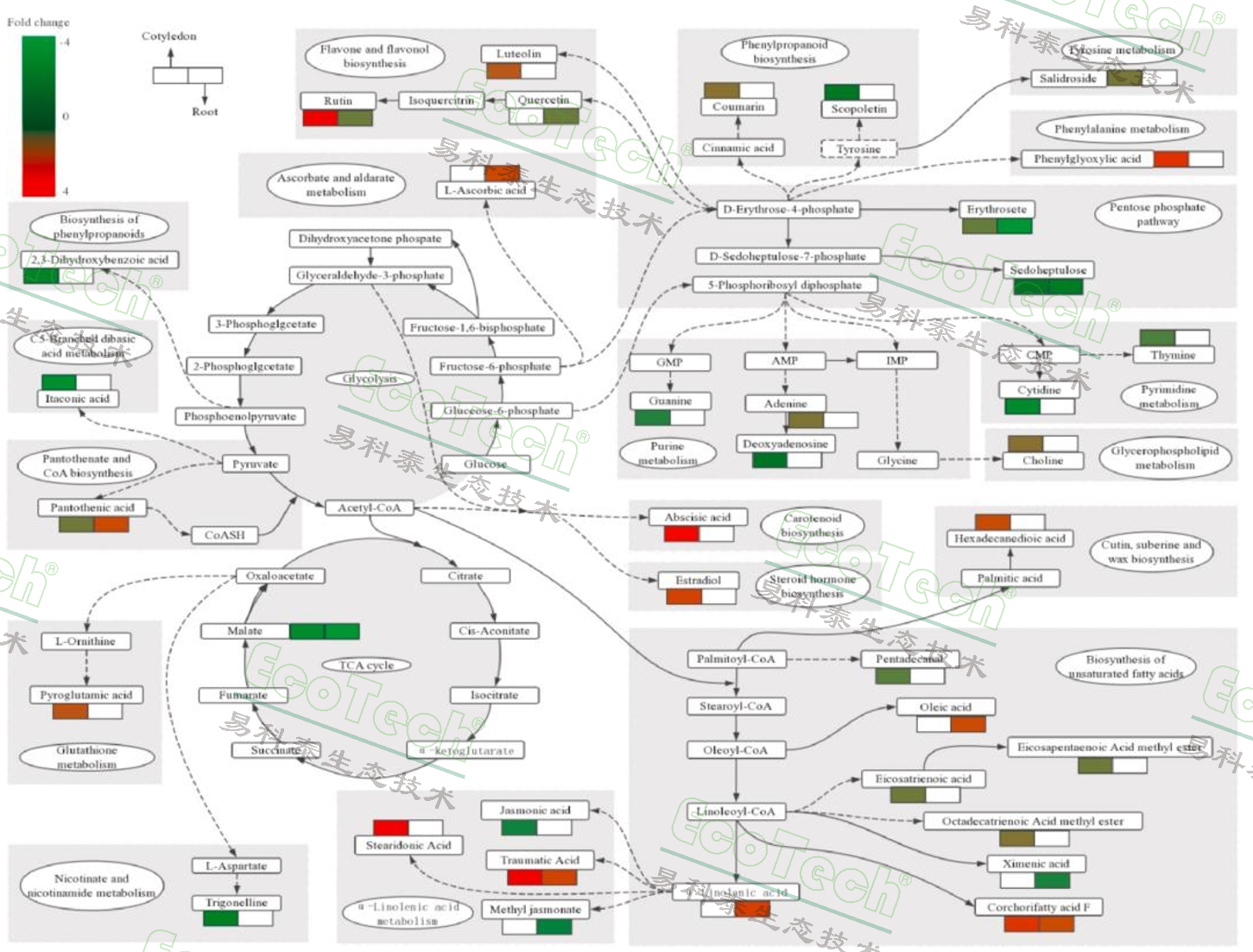 Ê×Ò³| º£ÑóÖ®Éñhy590×îйٷ½ÍøÕ¾