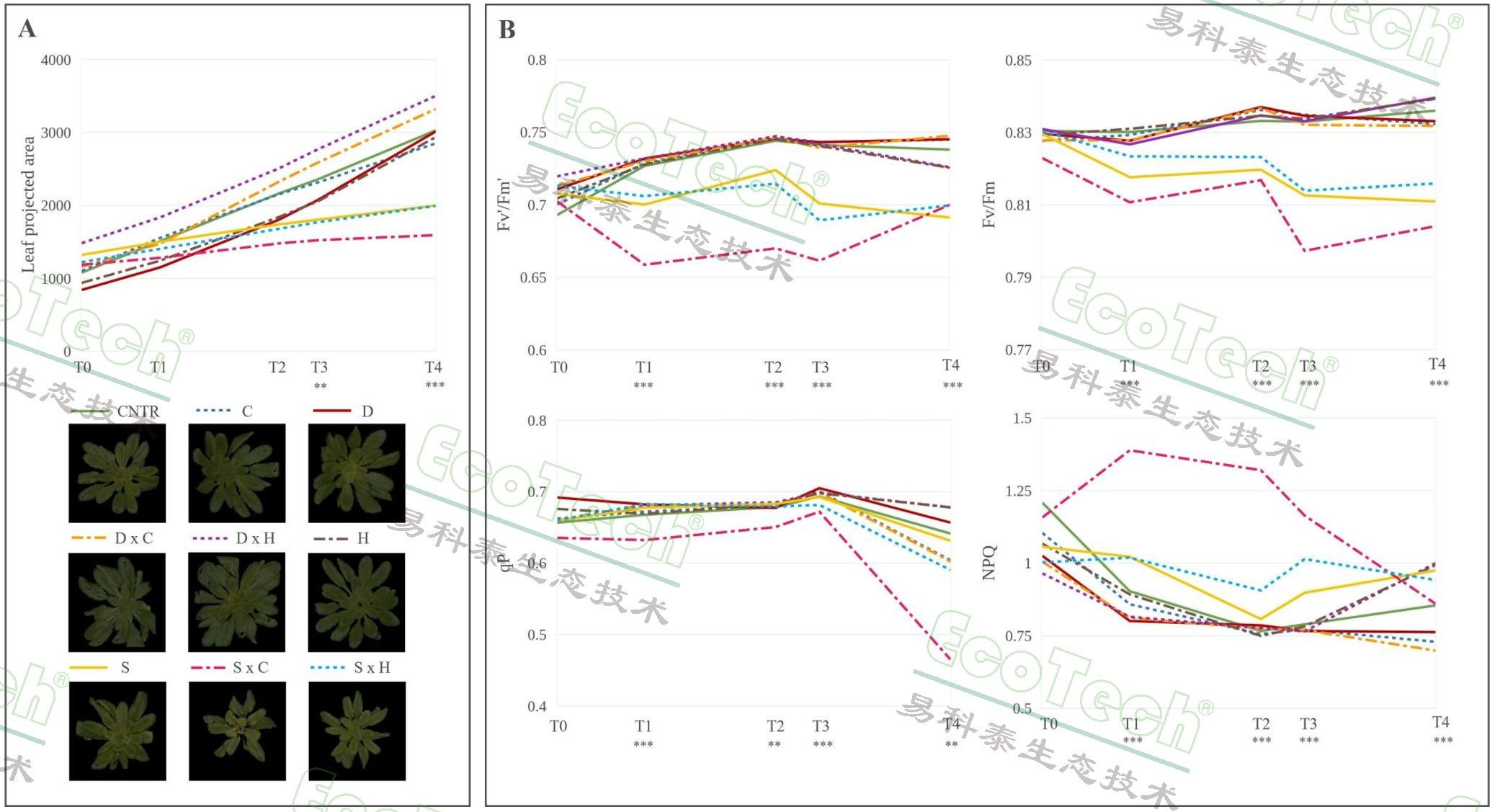 Ê×Ò³| º£ÑóÖ®Éñhy590×îйٷ½ÍøÕ¾