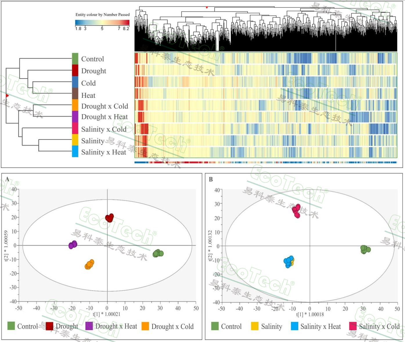 Ê×Ò³| º£ÑóÖ®Éñhy590×îйٷ½ÍøÕ¾