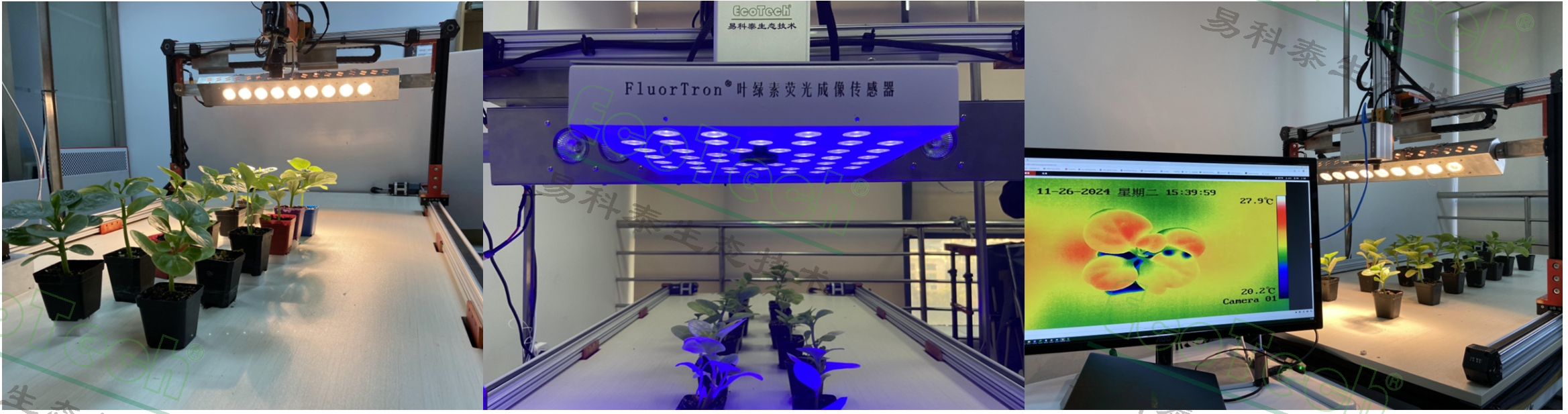 Ê×Ò³| º£ÑóÖ®Éñhy590×îйٷ½ÍøÕ¾