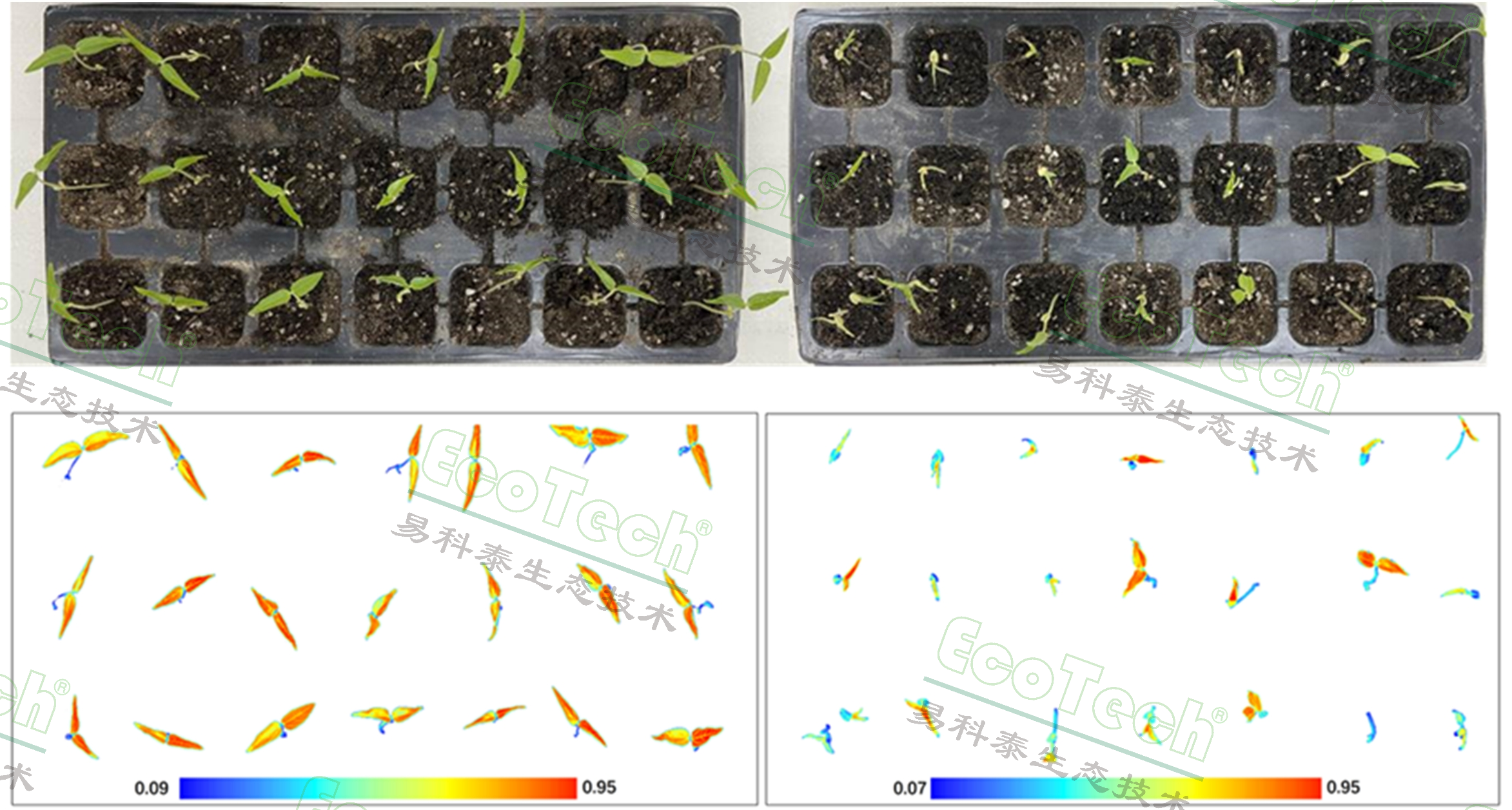 Ê×Ò³| º£ÑóÖ®Éñhy590×îйٷ½ÍøÕ¾