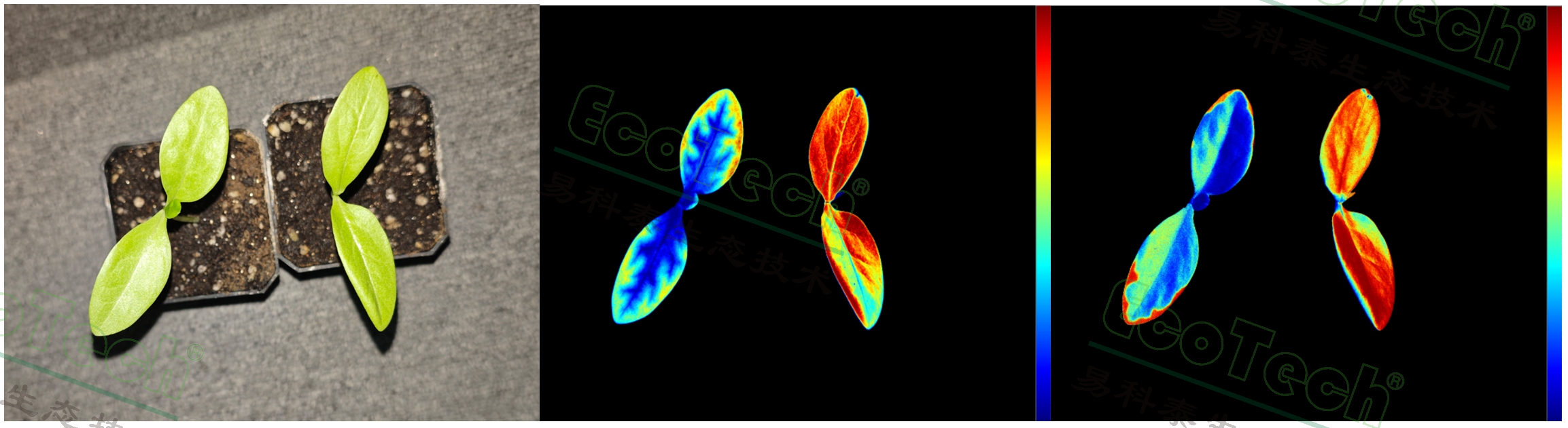 Ê×Ò³| º£ÑóÖ®Éñhy590×îйٷ½ÍøÕ¾