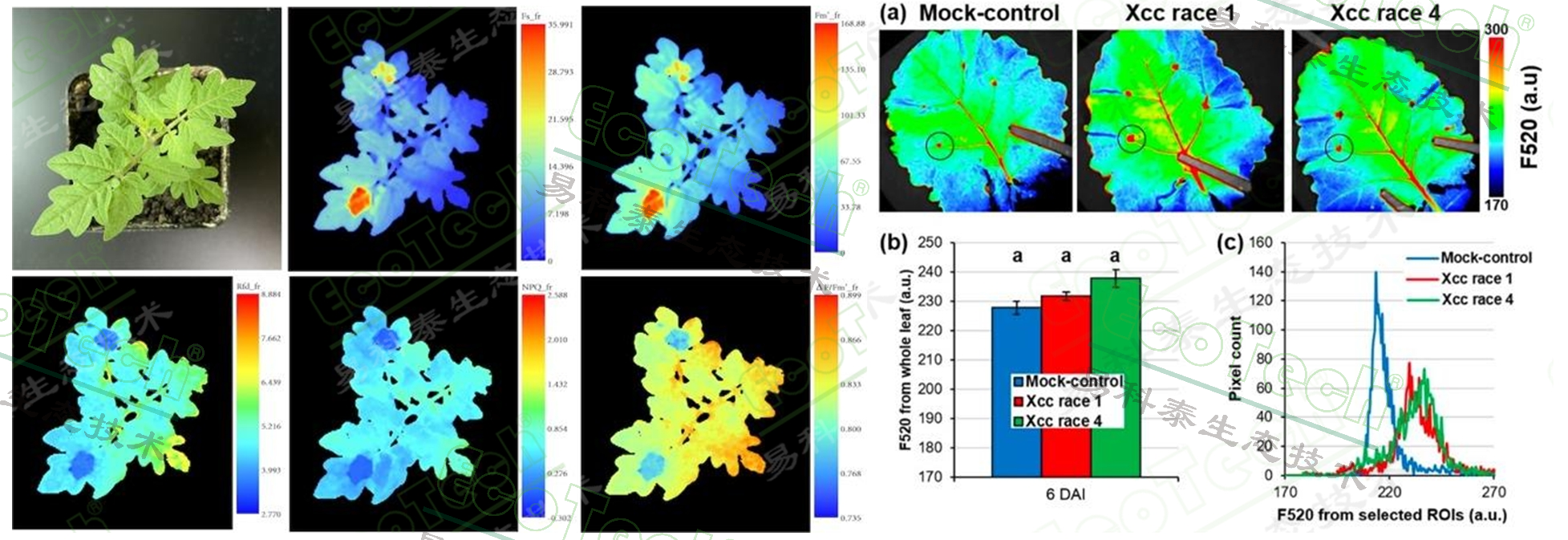 ��ҳ| ����֮��hy590���¹ٷ���վ