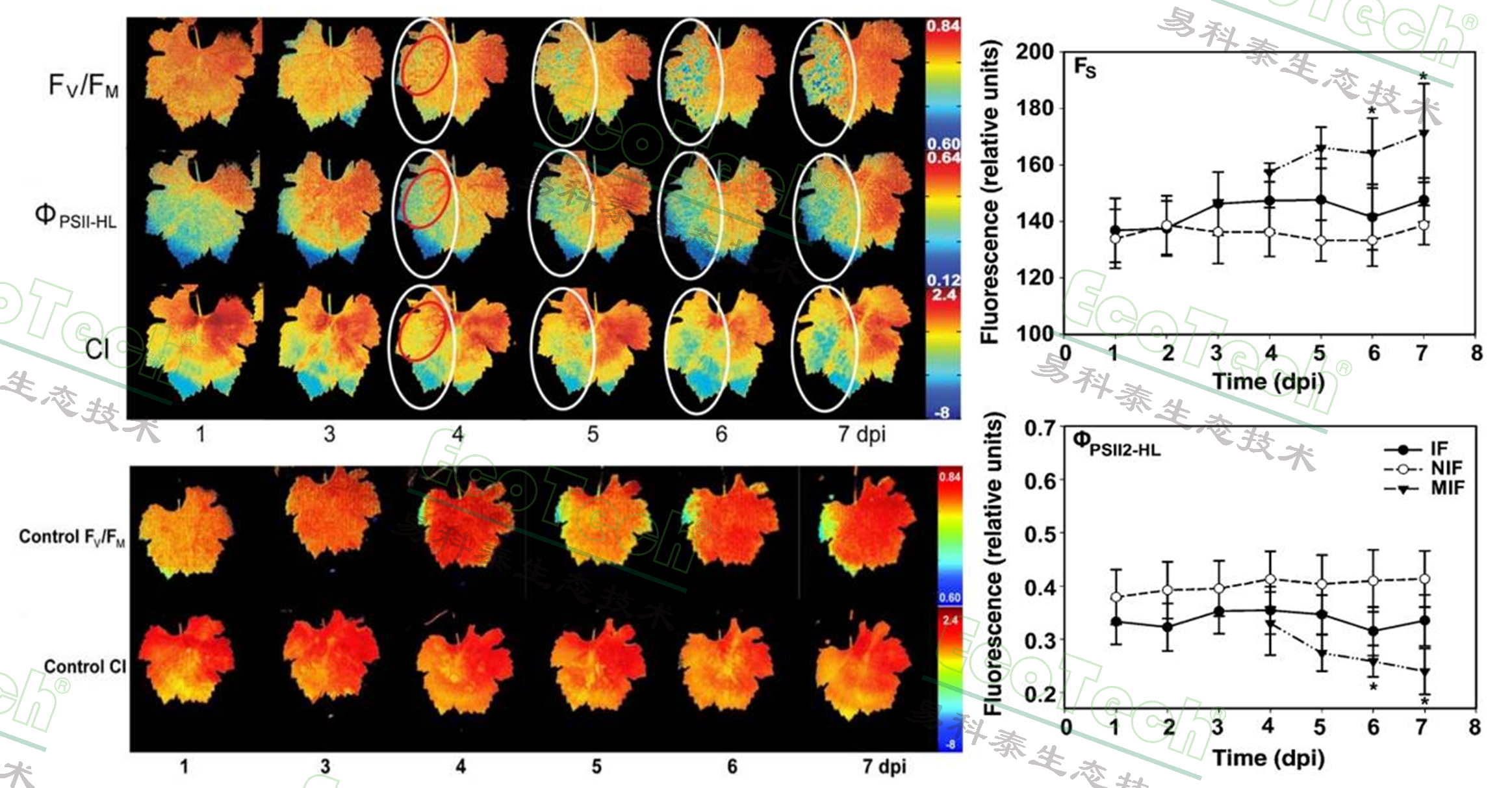 ��ҳ| ����֮��hy590���¹ٷ���վ