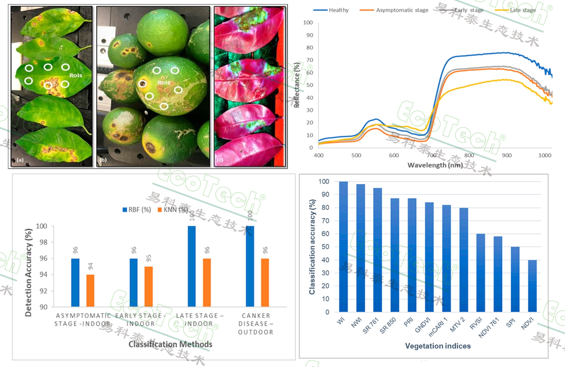 ��ҳ| ����֮��hy590���¹ٷ���վ