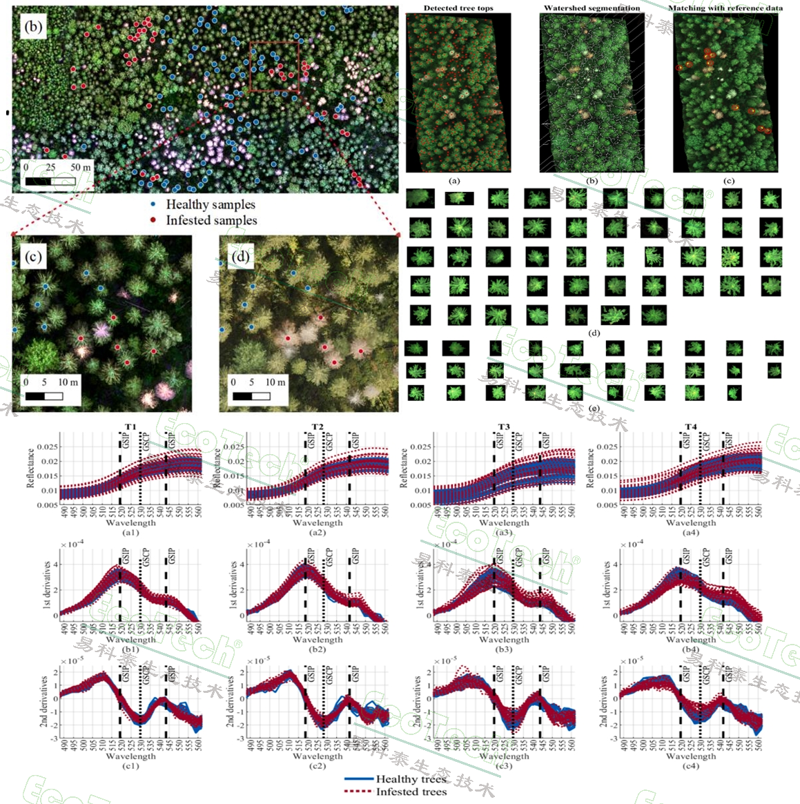 ��ҳ| ����֮��hy590���¹ٷ���վ