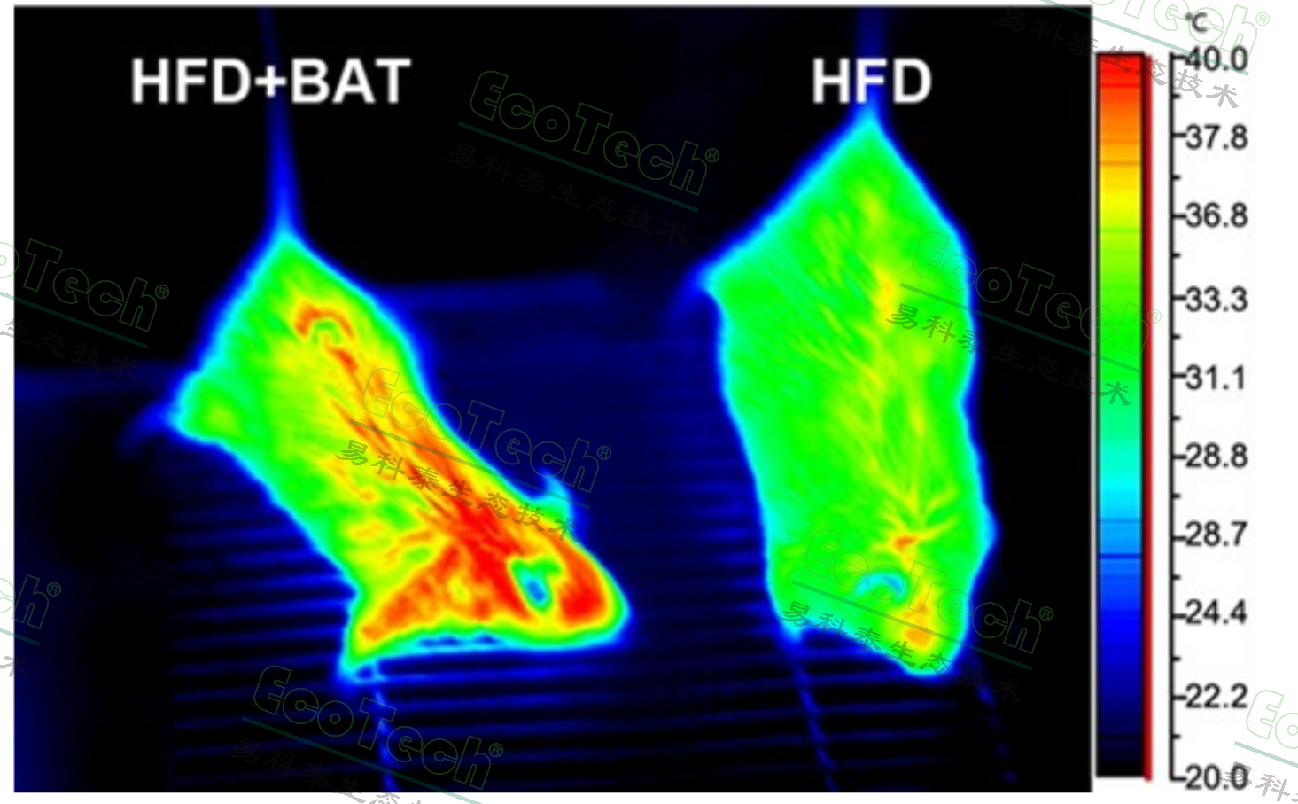 ��ҳ| ����֮��hy590���¹ٷ���վ