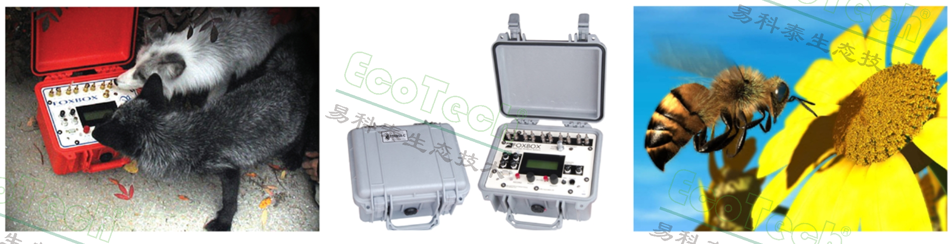 ��ҳ| ����֮��hy590���¹ٷ���վ