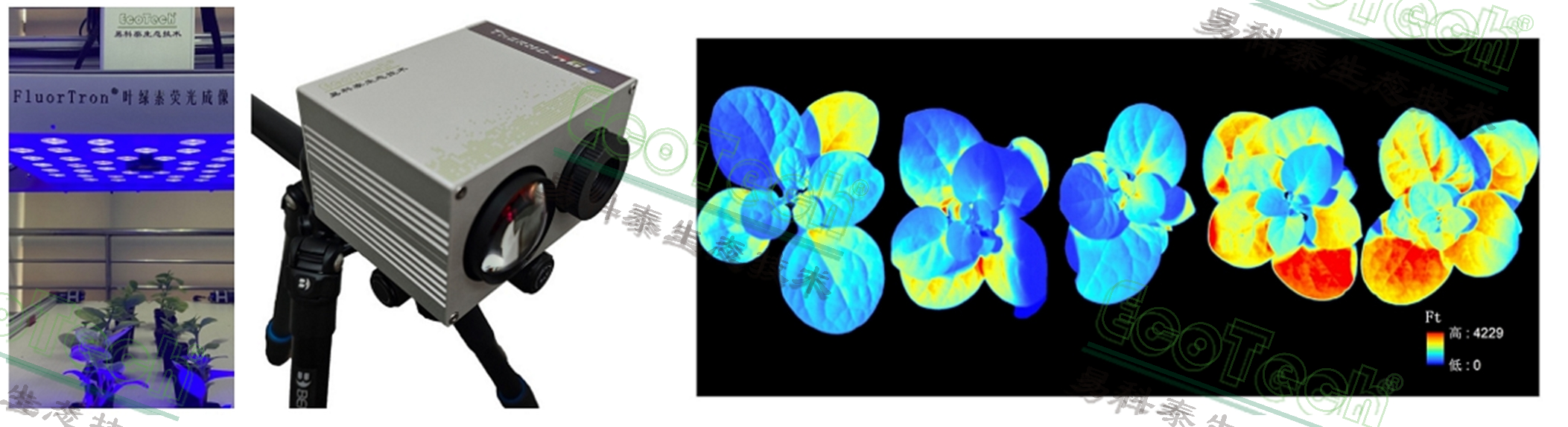 ��ҳ| ����֮��hy590���¹ٷ���վ