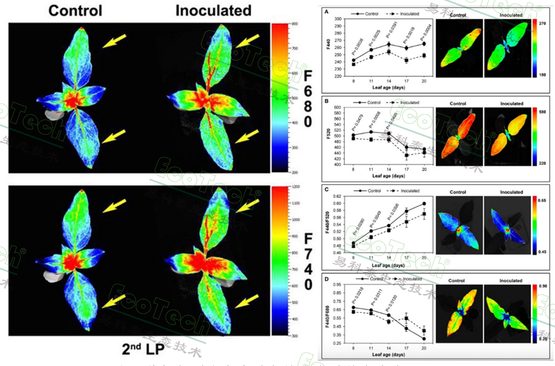 ��ҳ| ����֮��hy590���¹ٷ���վ