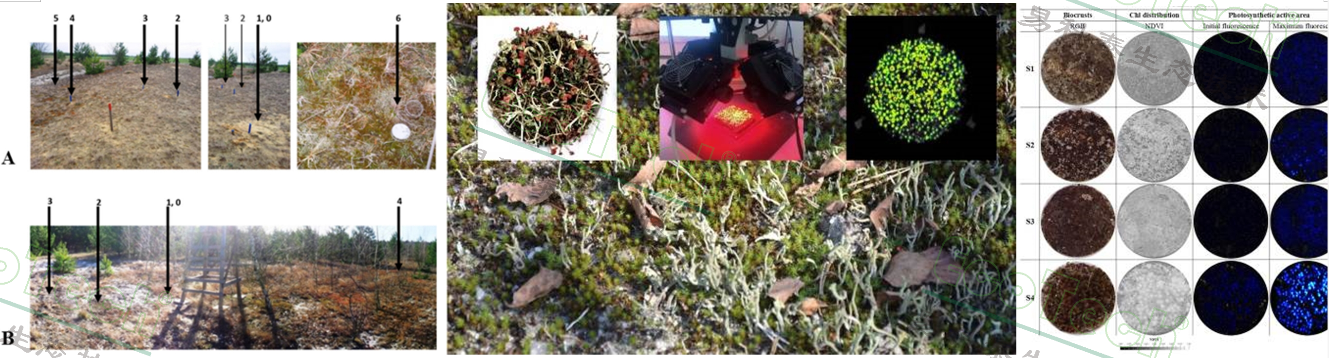 ��ҳ| ����֮��hy590���¹ٷ���վ