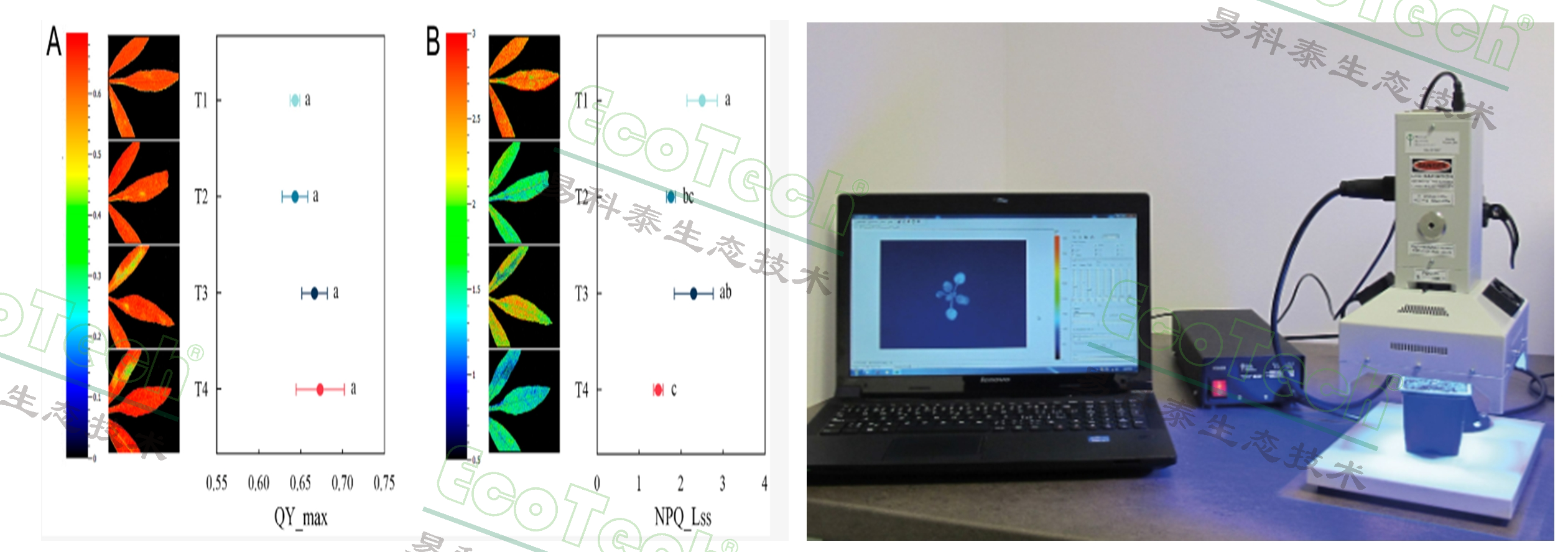 ��ҳ| ����֮��hy590���¹ٷ���վ