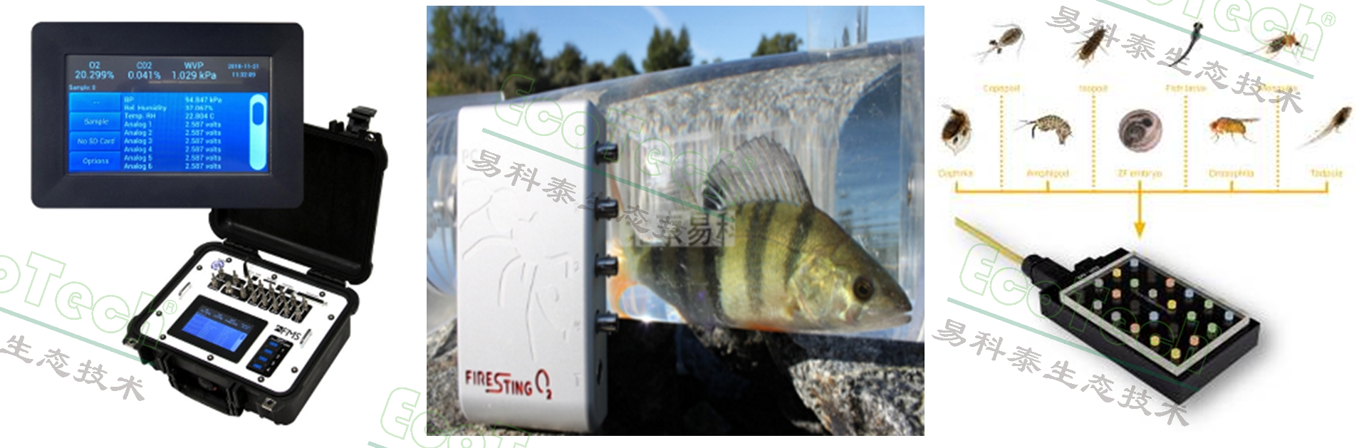 ��ҳ| ����֮��hy590���¹ٷ���վ