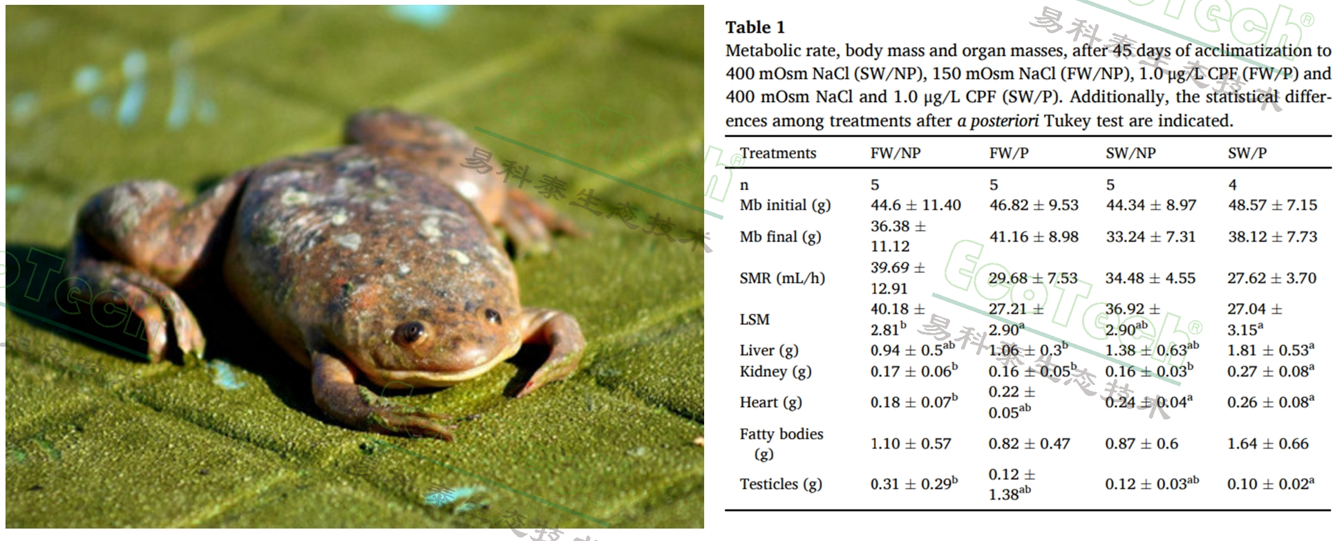 ��ҳ| ����֮��hy590���¹ٷ���վ