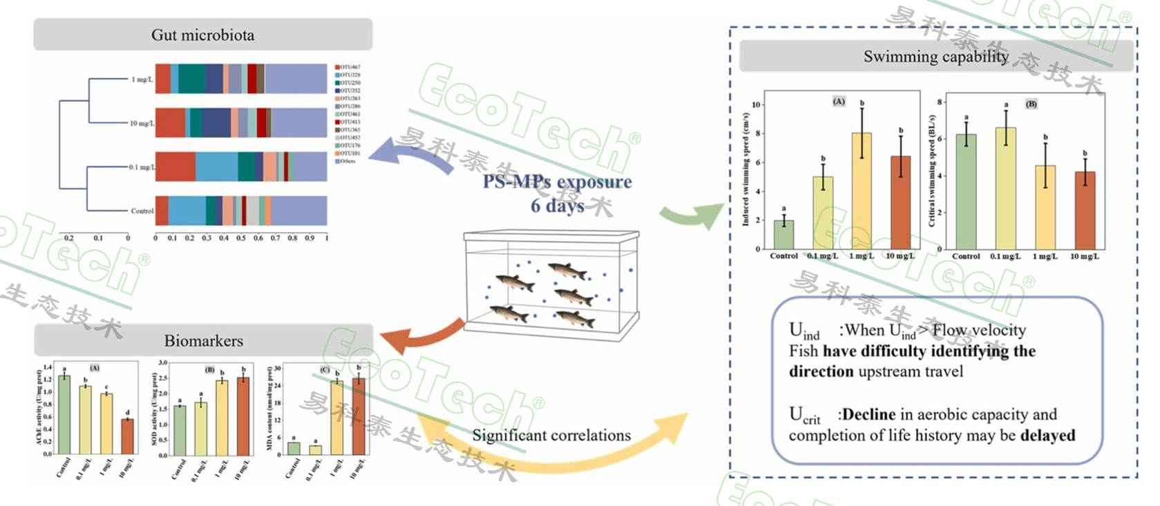 ��ҳ| ����֮��hy590���¹ٷ���վ