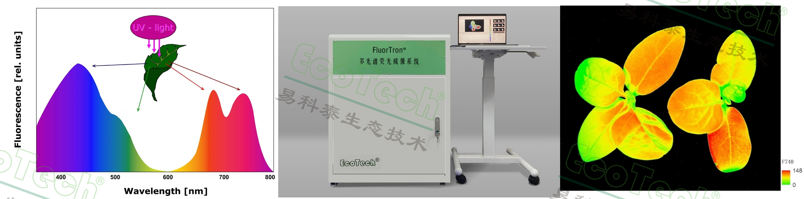 ��ҳ| ����֮��hy590���¹ٷ���վ