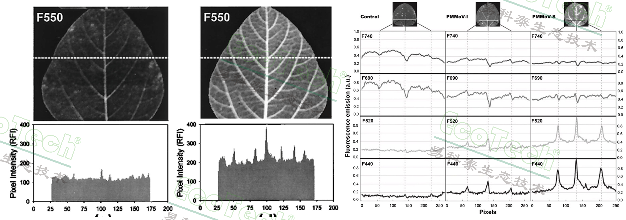 ��ҳ| ����֮��hy590���¹ٷ���վ