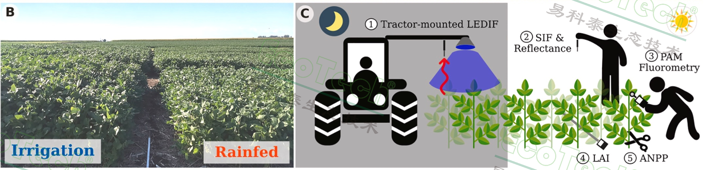 ��ҳ| ����֮��hy590���¹ٷ���վ