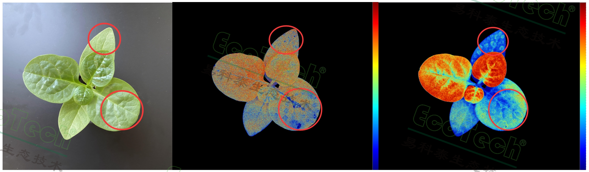 ��ҳ| ����֮��hy590���¹ٷ���վ