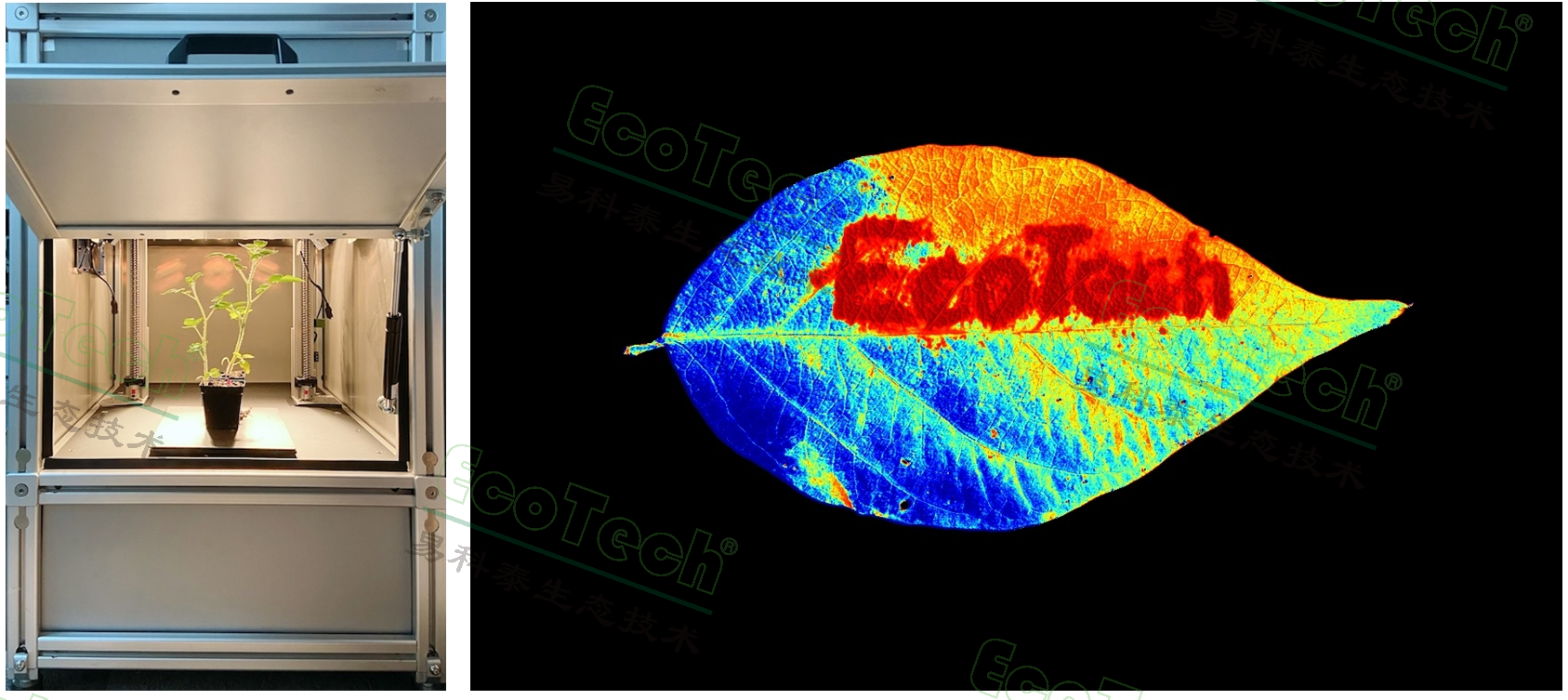 ��ҳ| ����֮��hy590���¹ٷ���վ