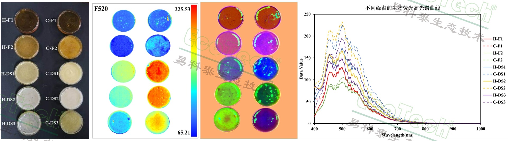 ��ҳ| ����֮��hy590���¹ٷ���վ