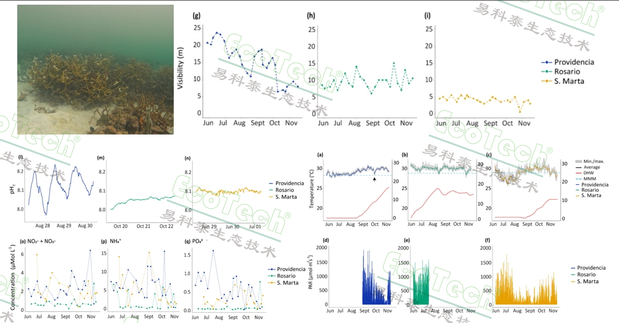 ��ҳ| ����֮��hy590���¹ٷ���վ