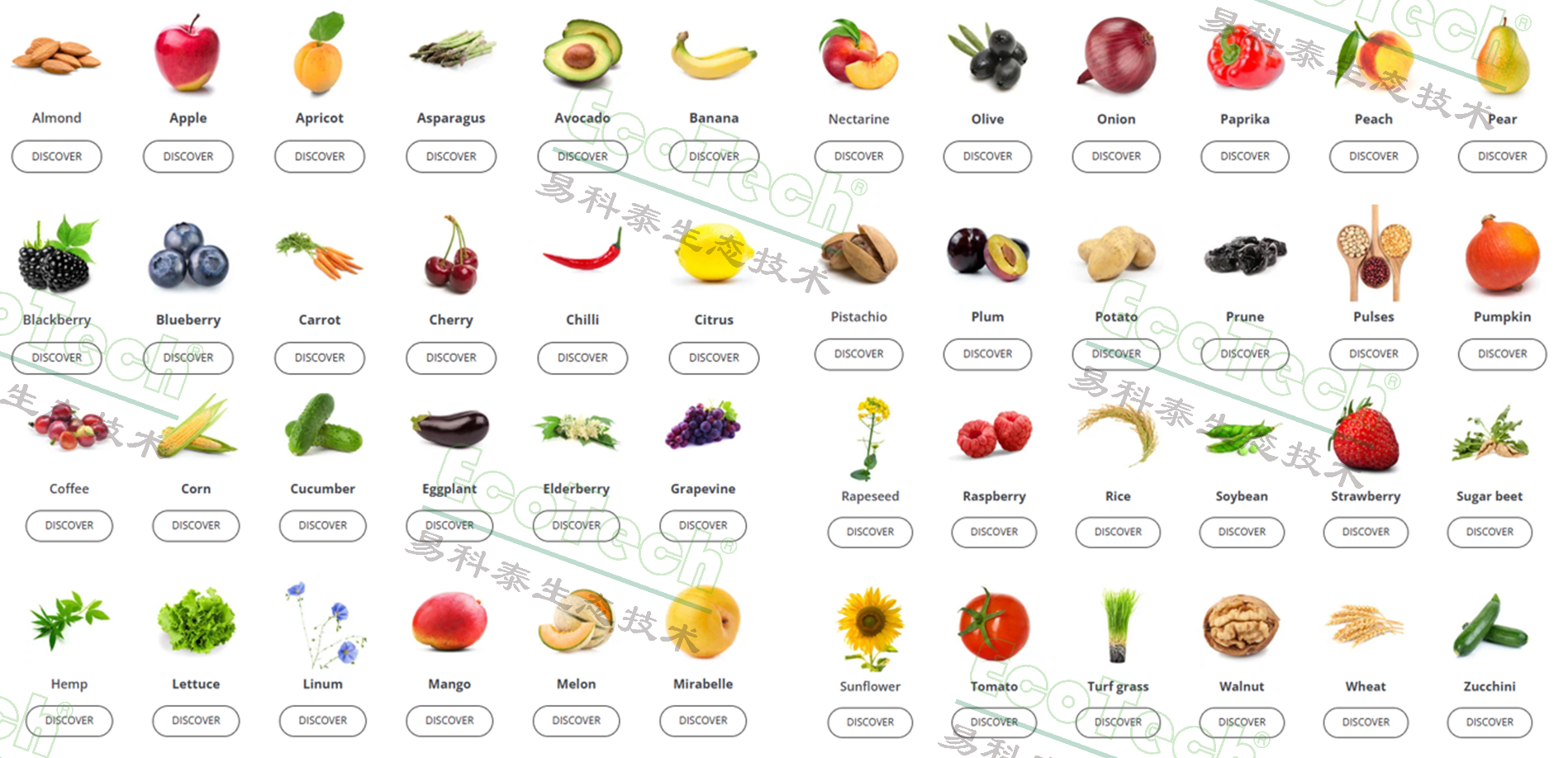 ��ҳ| ����֮��hy590���¹ٷ���վ