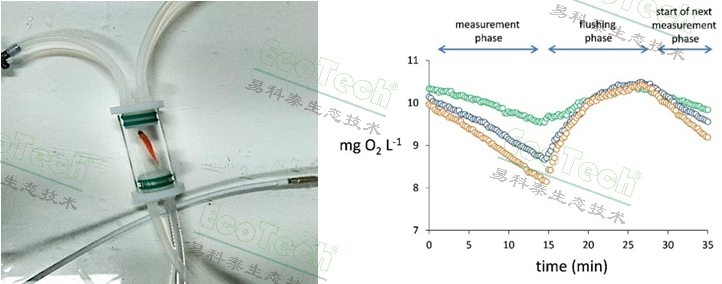 ��ҳ| ����֮��hy590���¹ٷ���վ