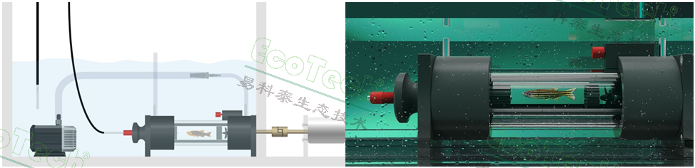 ��ҳ| ����֮��hy590���¹ٷ���վ