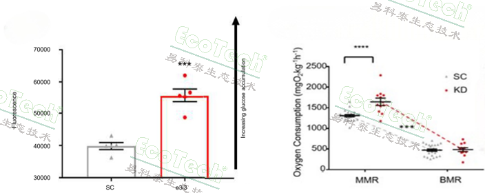 ��ҳ| ����֮��hy590���¹ٷ���վ