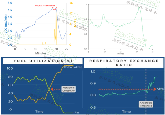 ��ҳ| ����֮��hy590���¹ٷ���վ