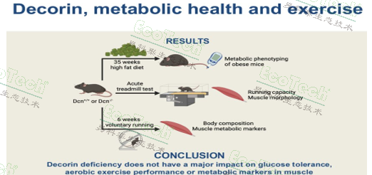 ��ҳ| ����֮��hy590���¹ٷ���վ